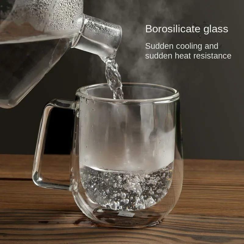 Borosilicate Double walled mug