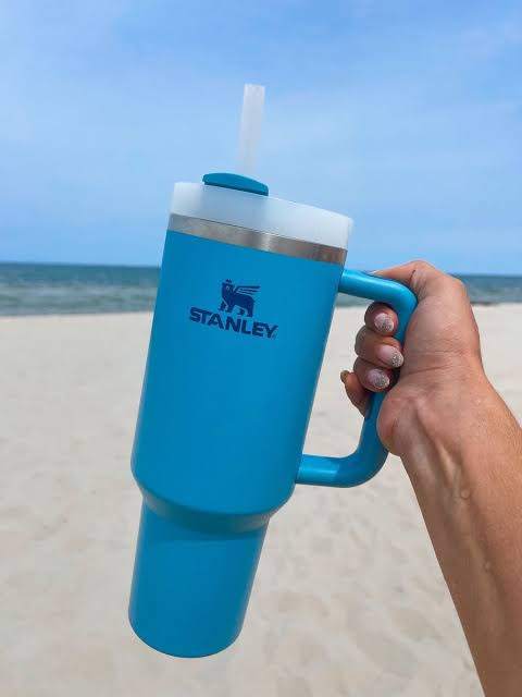 Stanley Mug Cup