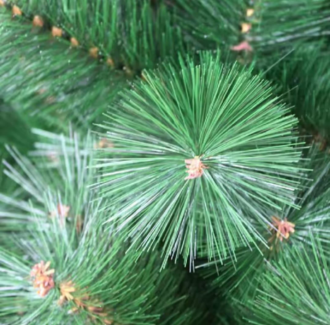 Pine shape Christmas tree