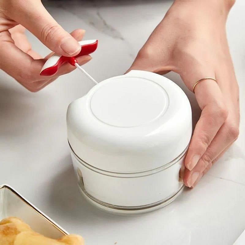 Mini manual food chopper
