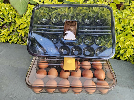 egg storage