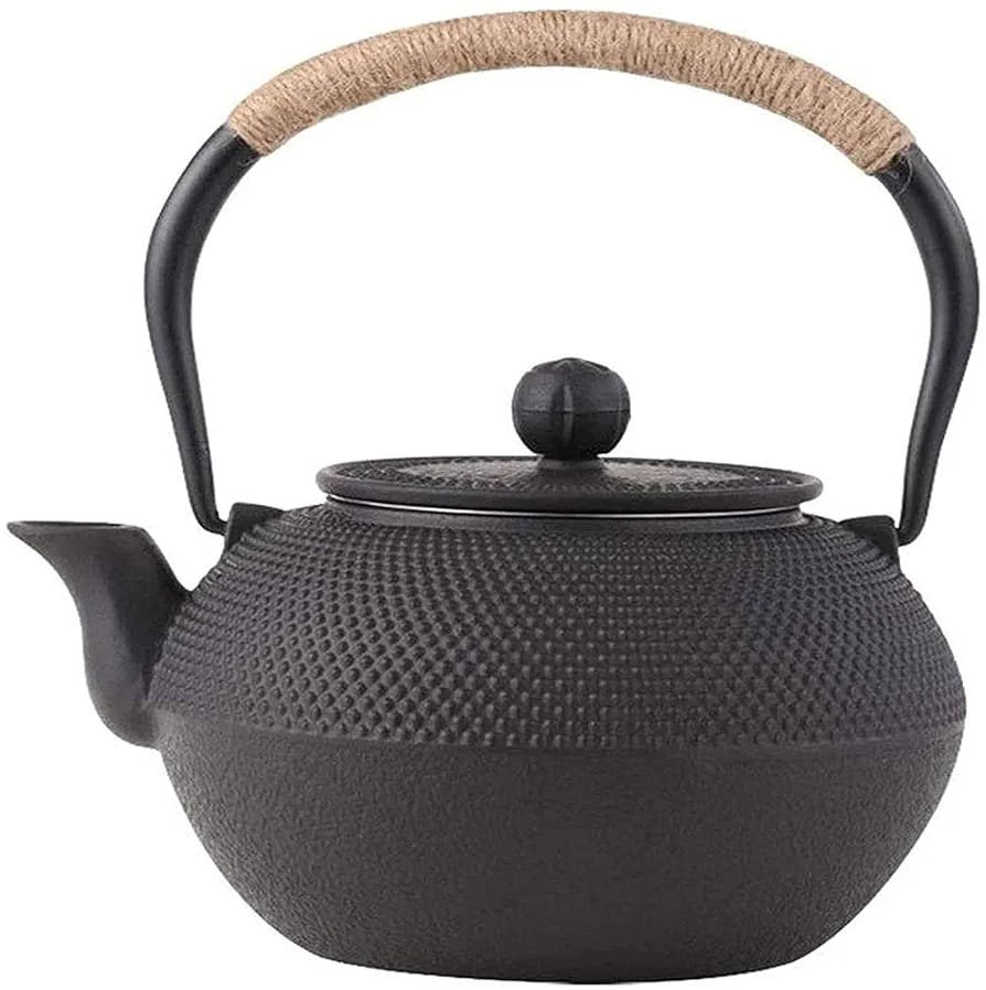 Japanese style cast iron teapot with infuser