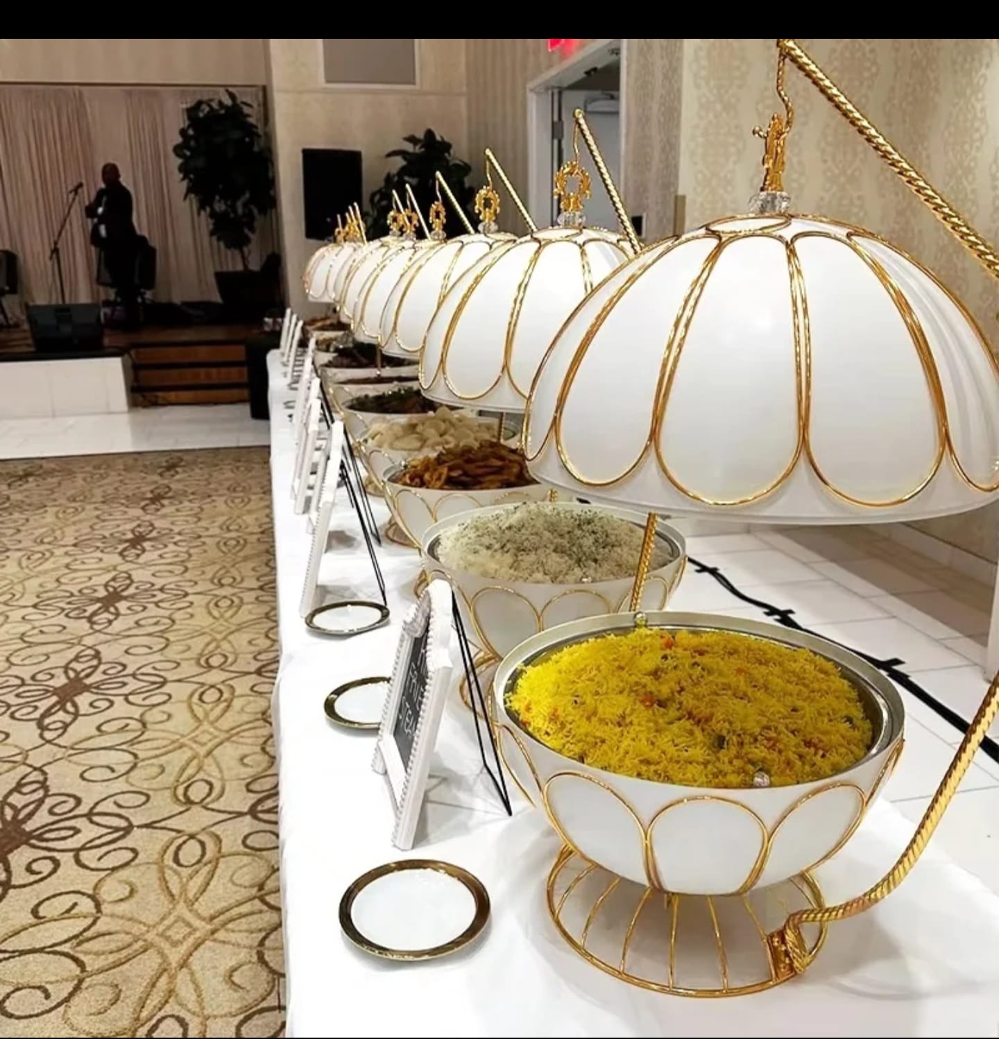 Egg Shaped Round Chaffing Dish Hanging Buffet Food warmer.