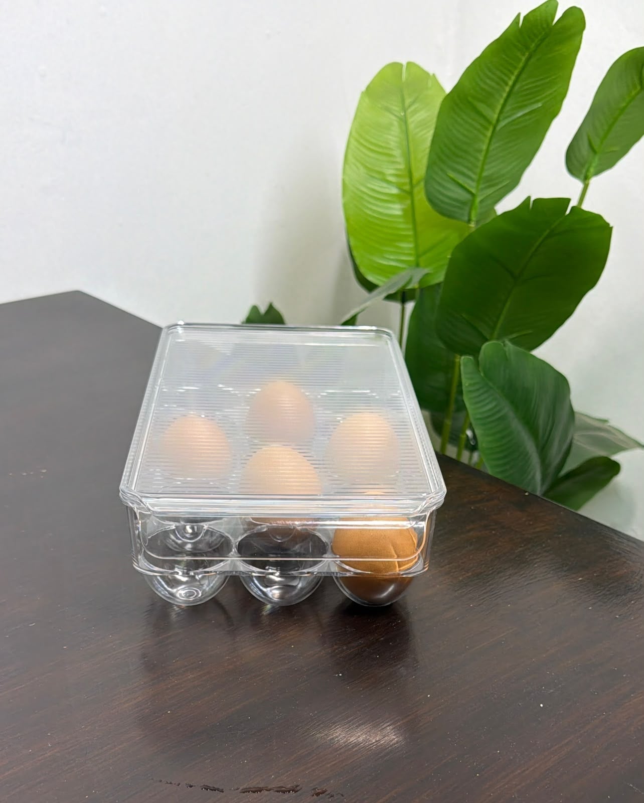 Clear acrylic egg storage container