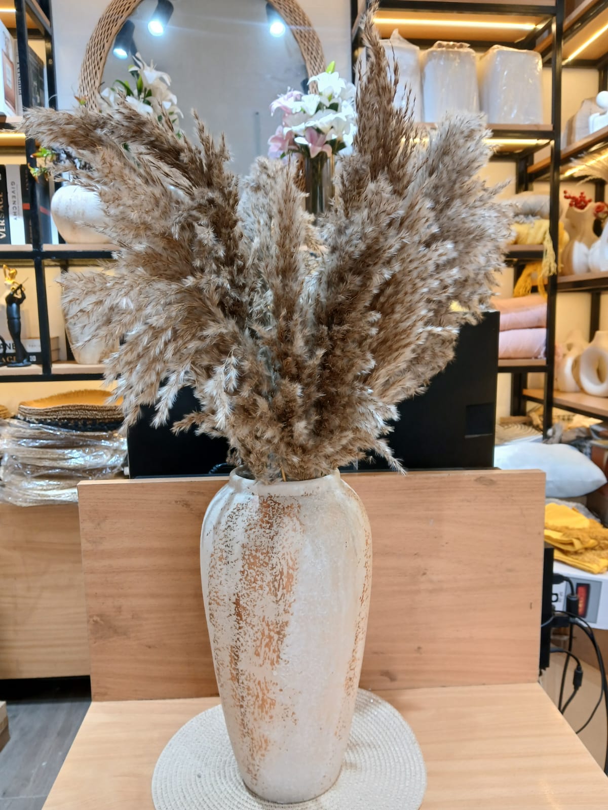 Dried wild mini reed pampas