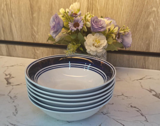 6pcs blue rim ceramic bowls