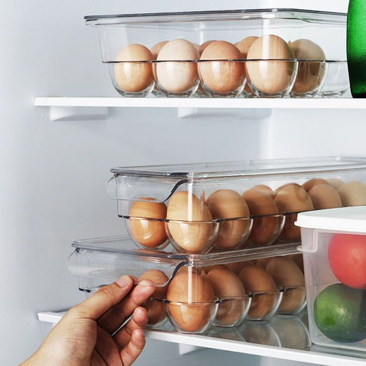 16 Grid Egg Holder with handle & Lid