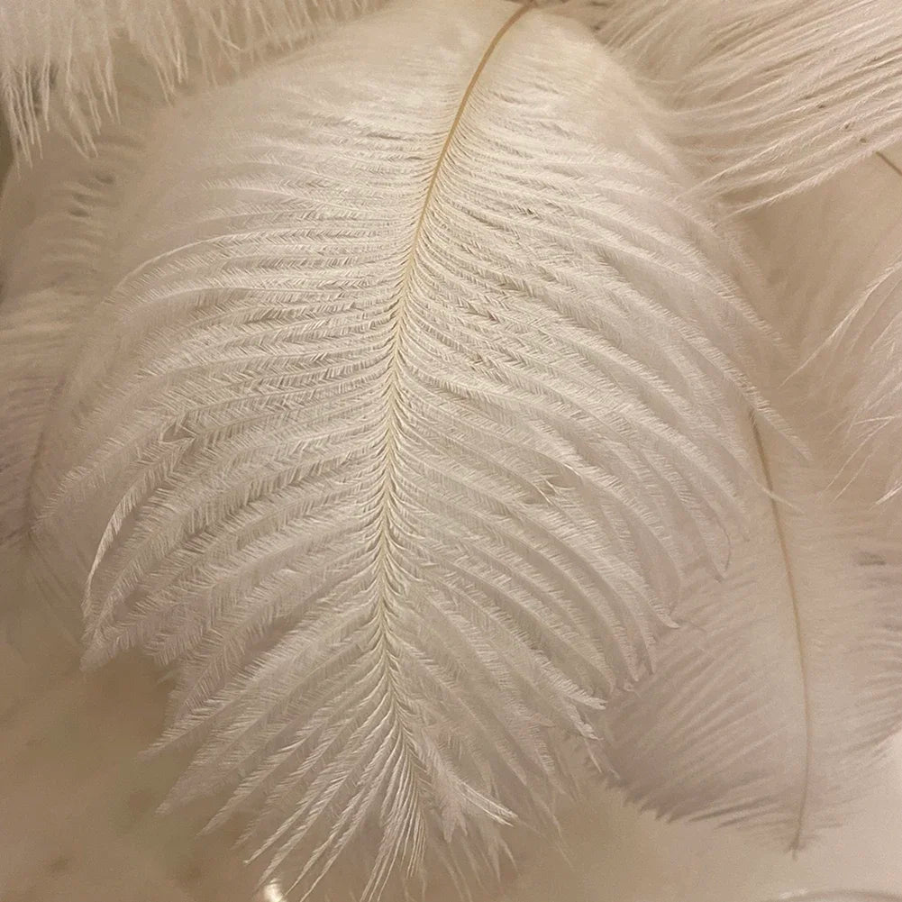 Long feather bedside lamp