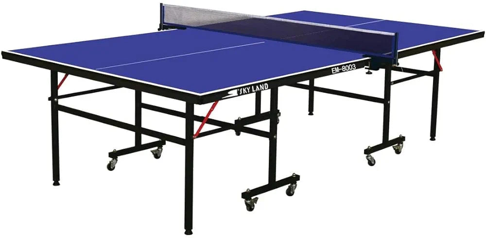 Indoor blue table tennis table